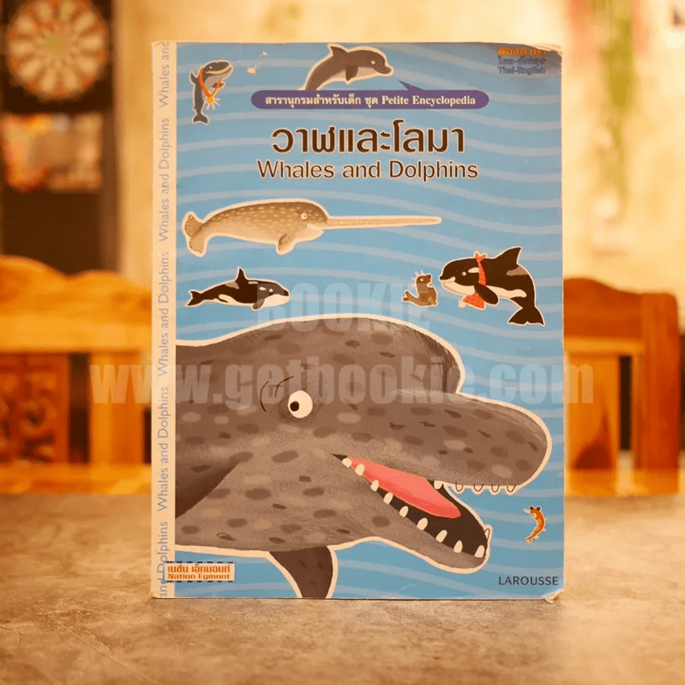 สารานุกรมสำหรับเด็ก ชุด Petite Encyclopedia วาฬและโลมา Whales and Dolphins รูปที่ 1