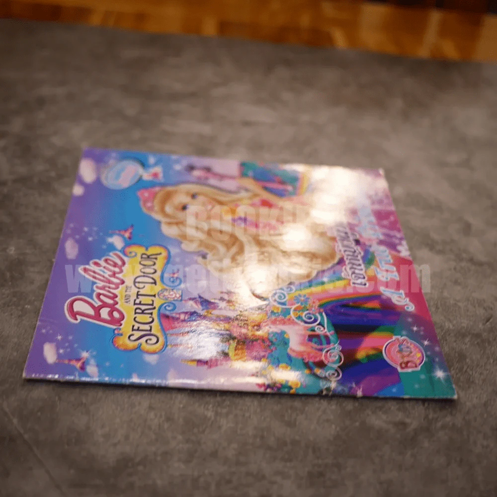 Barbie and the Secret Door เจ้าหญิงผู้วิเศษ A True Princess รูปที่ 2