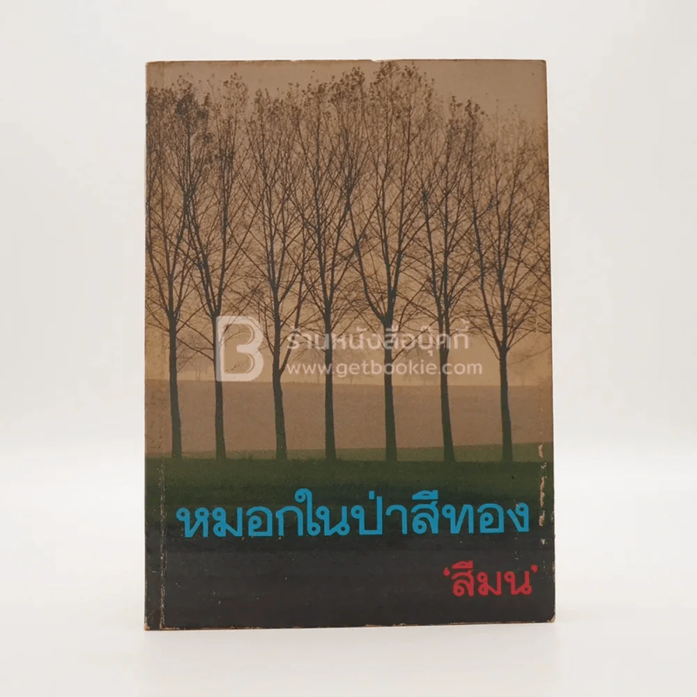 หมอกในป่าสีทอง เล่ม 1 - สีมน รูปที่ 1