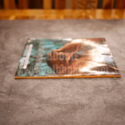 โลกของไดโนเสาร์ Usborne Discovery รูปที่ 2
