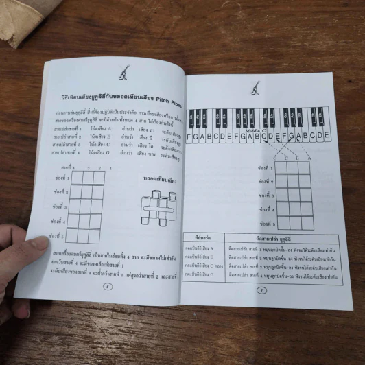 หัดเล่นอูคูลิลี Ukulele พร้อมคอร์ด รูปที่ 5