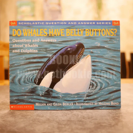 Do Whales Have Belly Buttons? รูปที่ 1