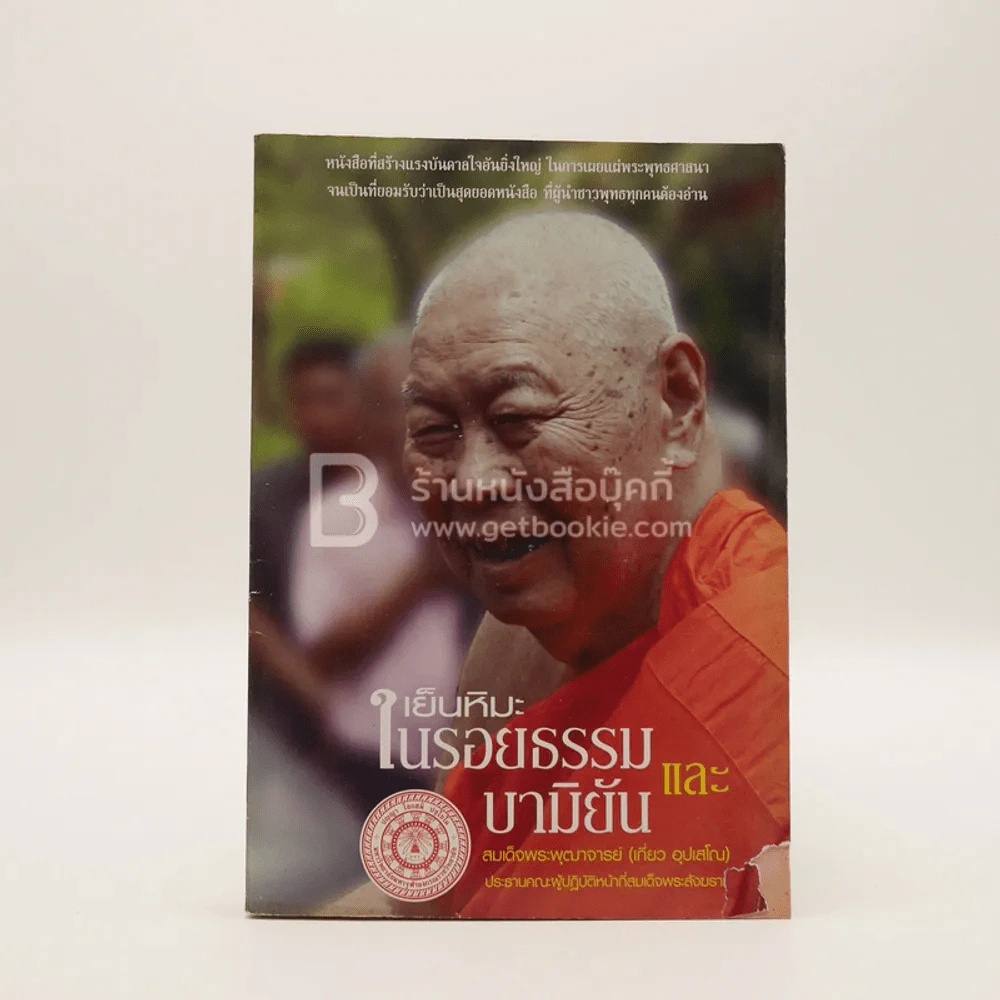 เย็นหิมะ ในรอยธรรมและบามิยัน รูปที่ 1
