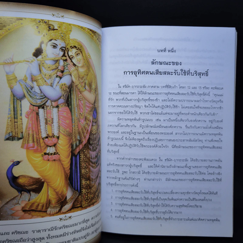 น้่ำทิพย์ แห่งการอุทิศตนเสียสละ ศาสตร์แห่ง ภักดี-โยคี ที่สมบูรณ์ รูปที่ 11