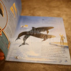 โลกของวาฬและโลมา Usborne Discovery รูปที่ 3