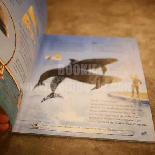 โลกของวาฬและโลมา Usborne Discovery รูปที่ 3