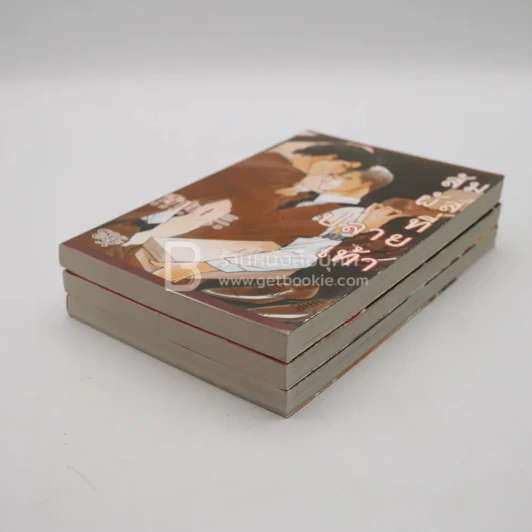 สัมผัสที่ปลายเท้า เสียงที่ปลายเท้า รักที่ปลายเท้า 3 เล่ม รูปที่ 4