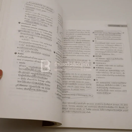 ชีววิทยา สำหรับม.ปลาย BIOLOGY for high school students (มีรอยขีดเขียน) รูปที่ 3