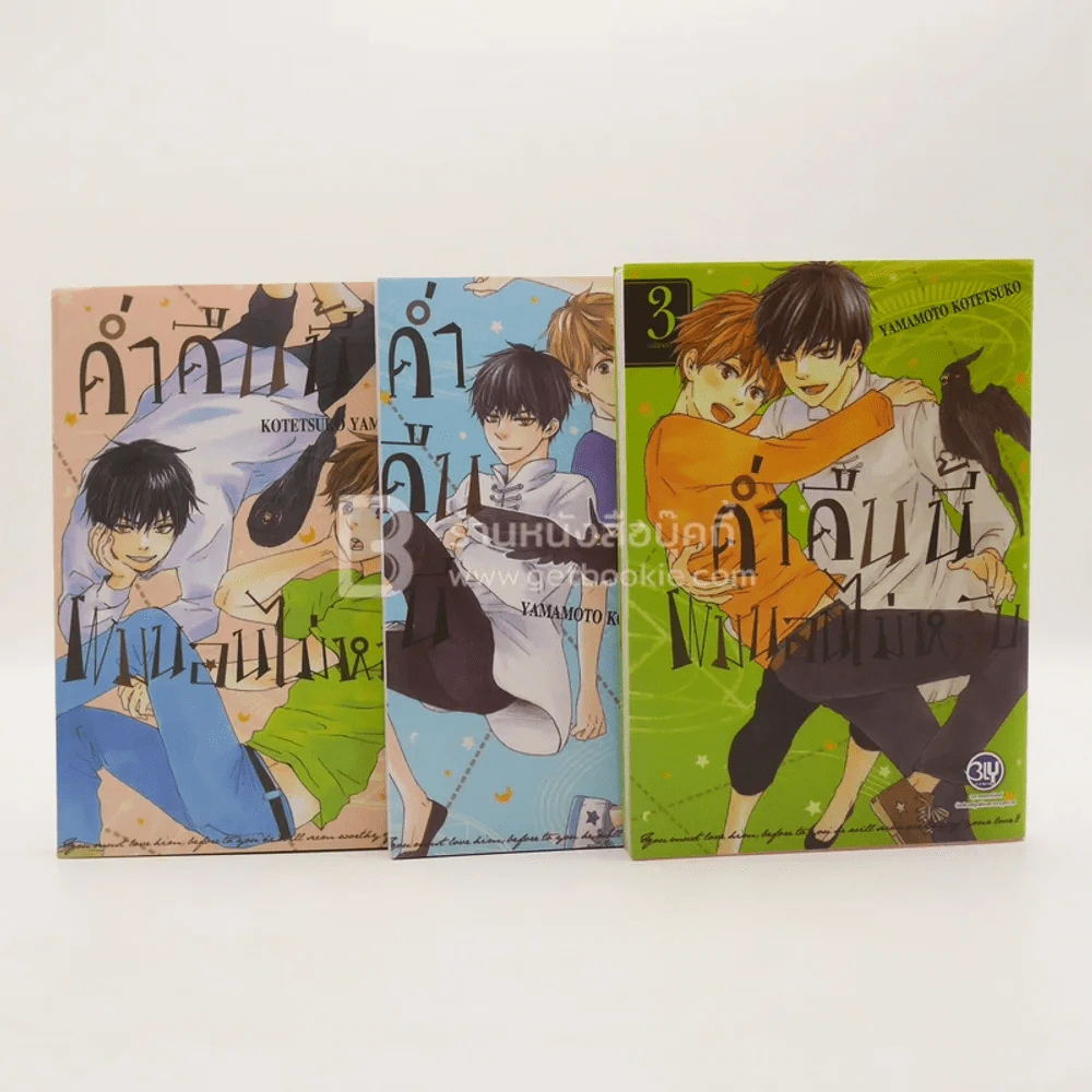ค่ำคืนนี้ผมนอนไม่หลับ 3 เล่มจบ รูปที่ 1