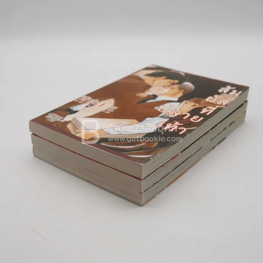 สัมผัสที่ปลายเท้า เสียงที่ปลายเท้า รักที่ปลายเท้า 3 เล่ม รูปที่ 4