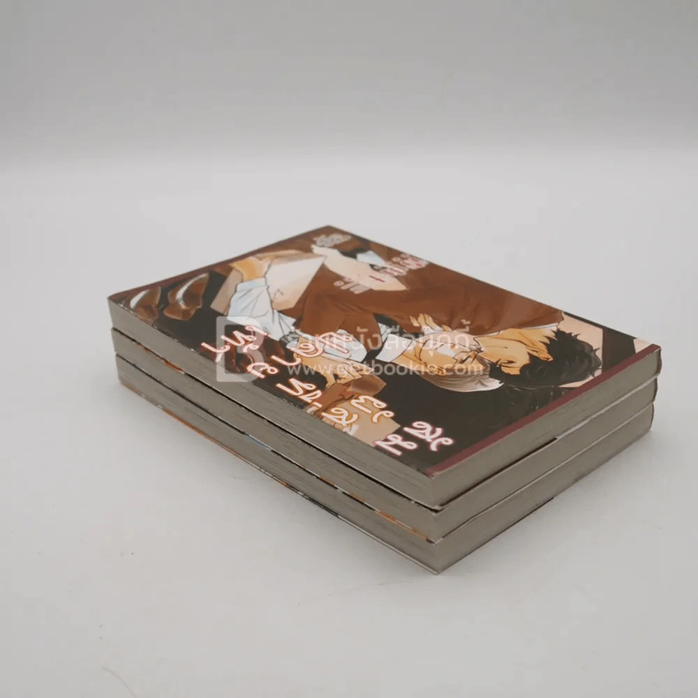 สัมผัสที่ปลายเท้า เสียงที่ปลายเท้า รักที่ปลายเท้า 3 เล่ม รูปที่ 5