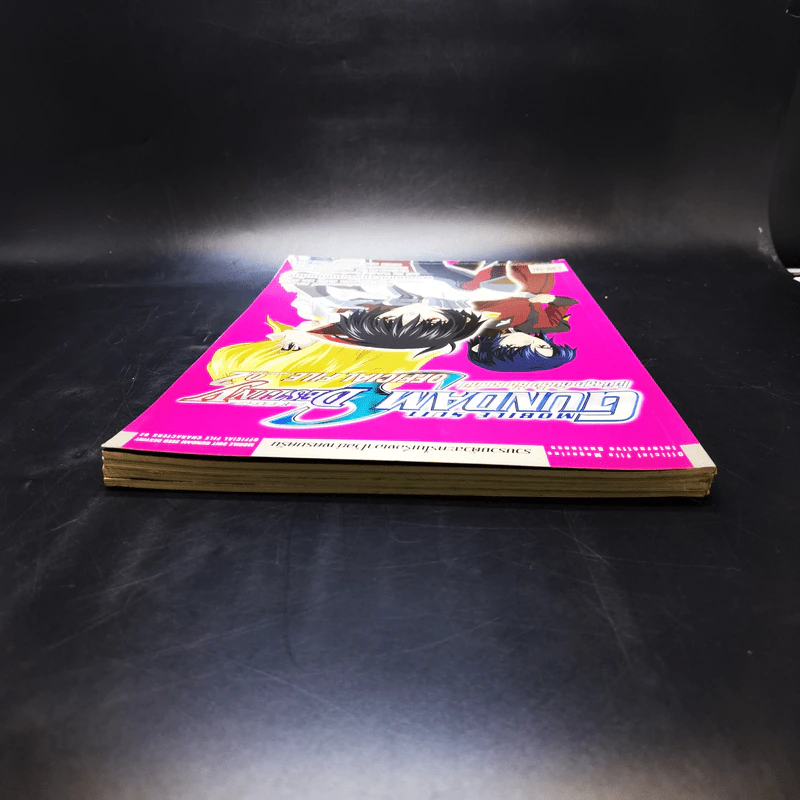 Mobile Suit Gundam Seed Destiny Official File เล่ม 1-4 รูปที่ 19