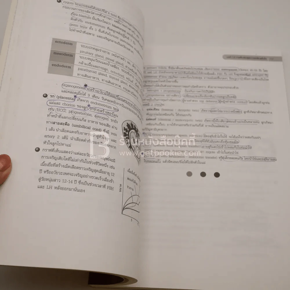 ชีววิทยา สำหรับม.ปลาย BIOLOGY for high school students (มีรอยขีดเขียน) รูปที่ 4