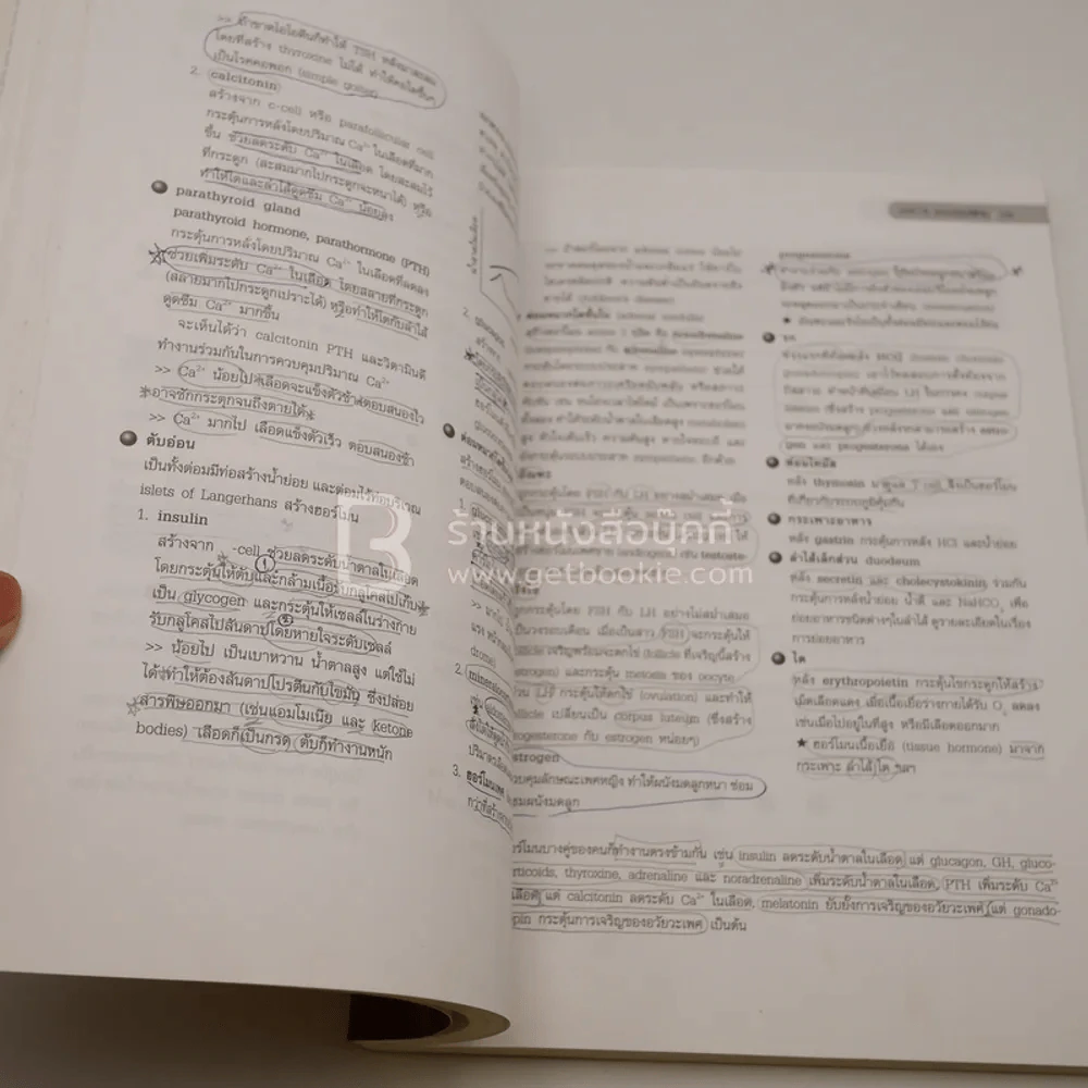 ชีววิทยา สำหรับม.ปลาย BIOLOGY for high school students (มีรอยขีดเขียน) รูปที่ 3