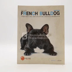 French Bulldog เฟรนซ์ บลูด็อก รูปที่ 1