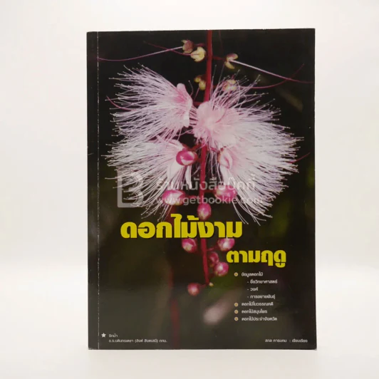 ดอกไม้งามตามฤดู รูปที่ 1
