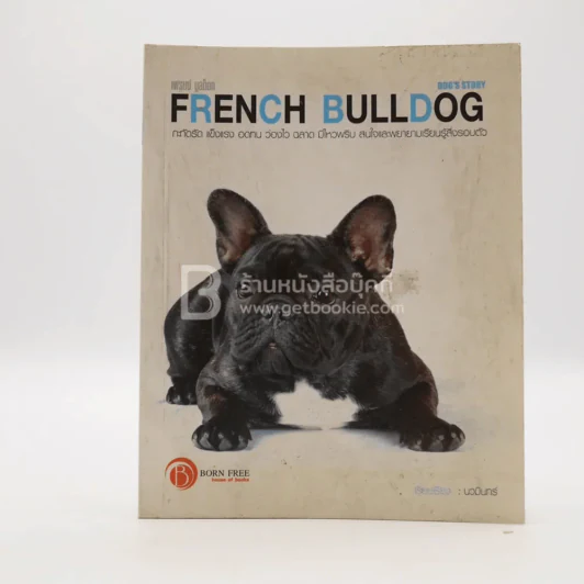 French Bulldog เฟรนซ์ บลูด็อก รูปที่ 1