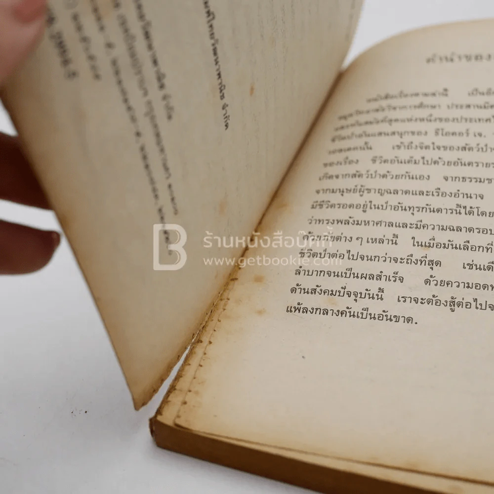 ตามล่า! ชีวิตการผจญภัยของสิงห์หนุ่ม (หนังสืออ่านนอกเวลา) ปกมีรอยขาดตามภาพ รูปที่ 4