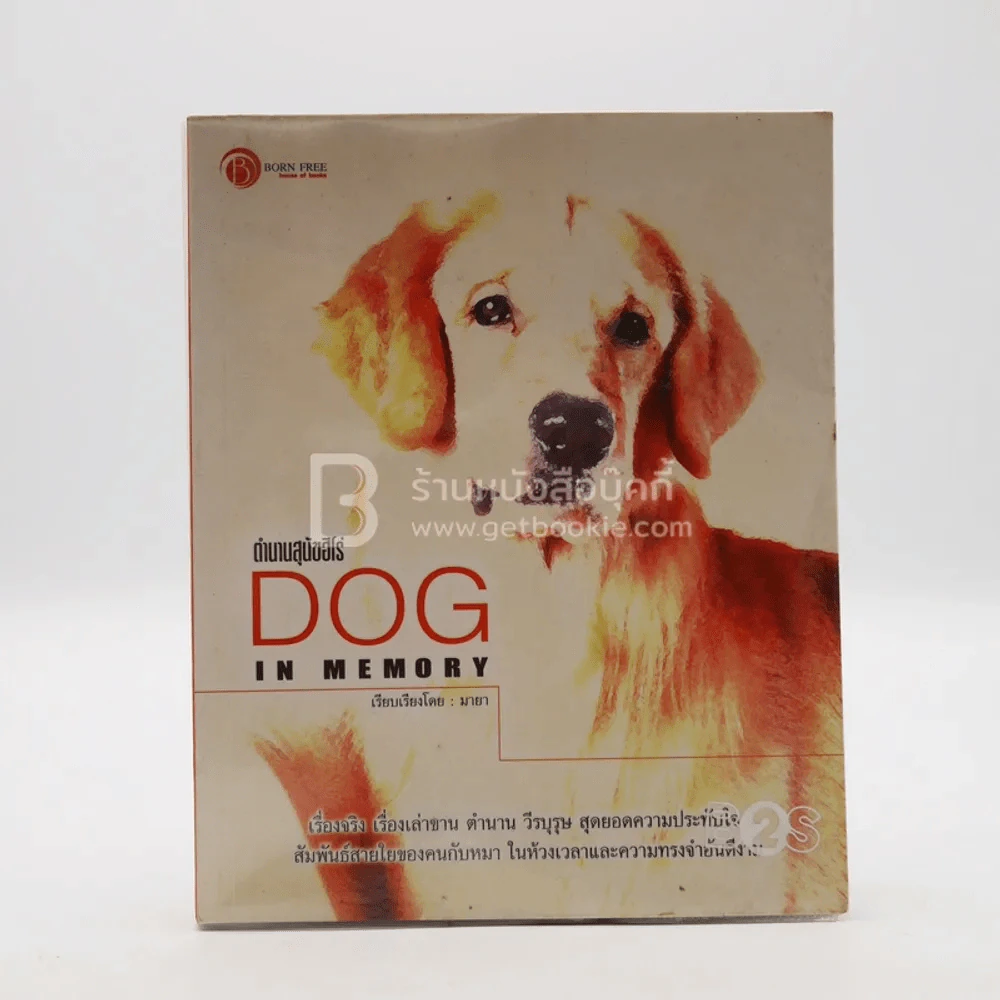 ตำนานสุนัขฮีโร่ Dog in Memory รูปที่ 1
