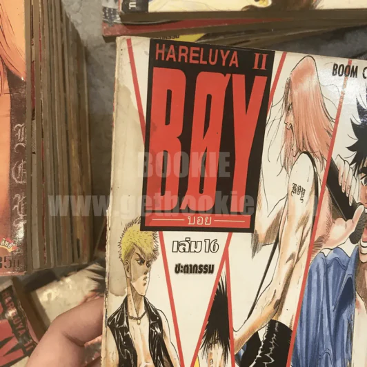 Boy Hareluya II 33 เล่มจบ (ขาดเล่ม 2,27) + ภาคแรก เล่มเดียวจบ (สภาพไม่สวยพิจารณาจากภาพก่อนสั่งซื้อ) รูปที่ 15