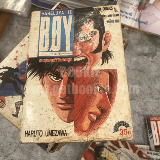 Boy Hareluya II 33 เล่มจบ (ขาดเล่ม 2,27) + ภาคแรก เล่มเดียวจบ (สภาพไม่สวยพิจารณาจากภาพก่อนสั่งซื้อ) รูปที่ 10