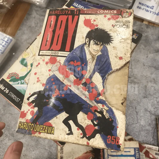 Boy Hareluya II 33 เล่มจบ (ขาดเล่ม 2,27) + ภาคแรก เล่มเดียวจบ (สภาพไม่สวยพิจารณาจากภาพก่อนสั่งซื้อ) รูปที่ 12