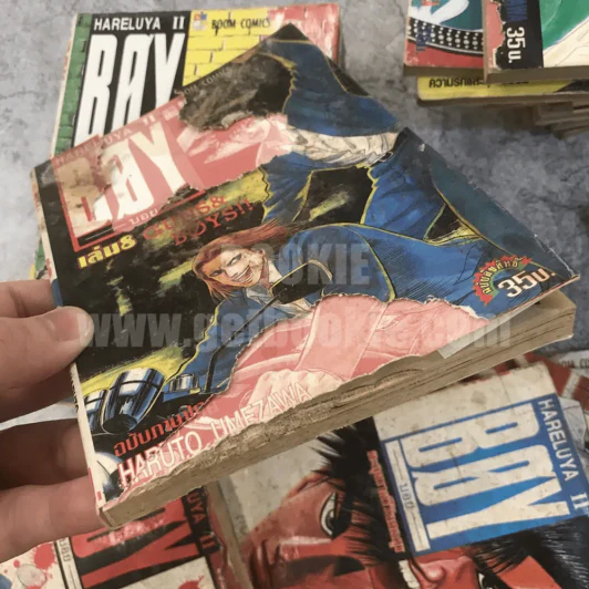 Boy Hareluya II 33 เล่มจบ (ขาดเล่ม 2,27) + ภาคแรก เล่มเดียวจบ (สภาพไม่สวยพิจารณาจากภาพก่อนสั่งซื้อ) รูปที่ 19