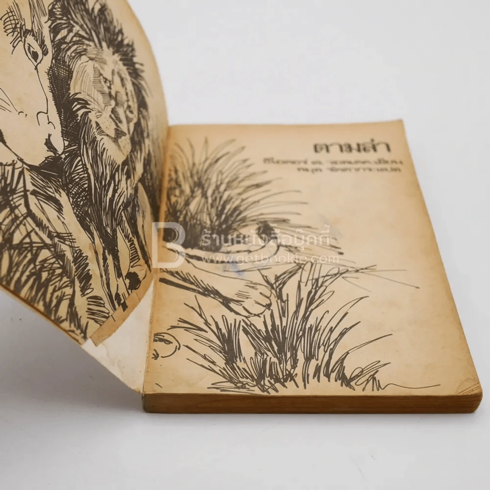 ตามล่า! ชีวิตการผจญภัยของสิงห์หนุ่ม (หนังสืออ่านนอกเวลา) รูปที่ 4
