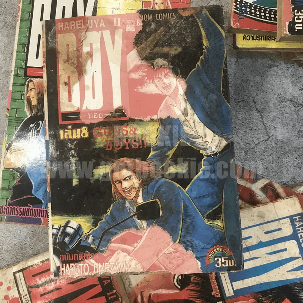 Boy Hareluya II 33 เล่มจบ (ขาดเล่ม 2,27) + ภาคแรก เล่มเดียวจบ (สภาพไม่สวยพิจารณาจากภาพก่อนสั่งซื้อ) รูปที่ 17