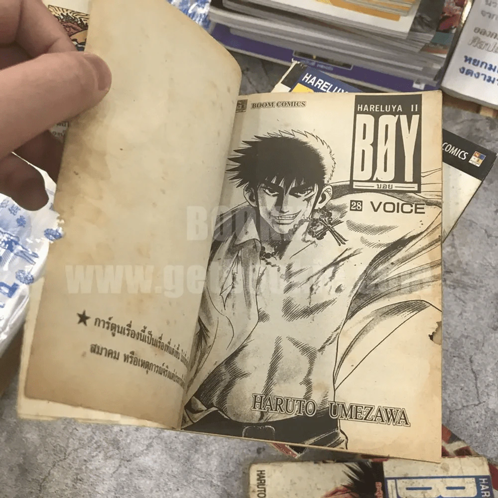 Boy Hareluya II 33 เล่มจบ (ขาดเล่ม 2,27) + ภาคแรก เล่มเดียวจบ (สภาพไม่สวยพิจารณาจากภาพก่อนสั่งซื้อ) รูปที่ 13