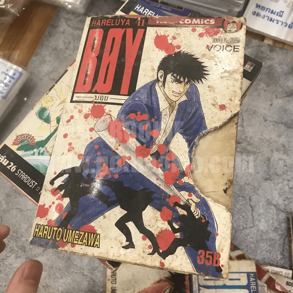 Boy Hareluya II 33 เล่มจบ (ขาดเล่ม 2,27) + ภาคแรก เล่มเดียวจบ (สภาพไม่สวยพิจารณาจากภาพก่อนสั่งซื้อ) รูปที่ 12