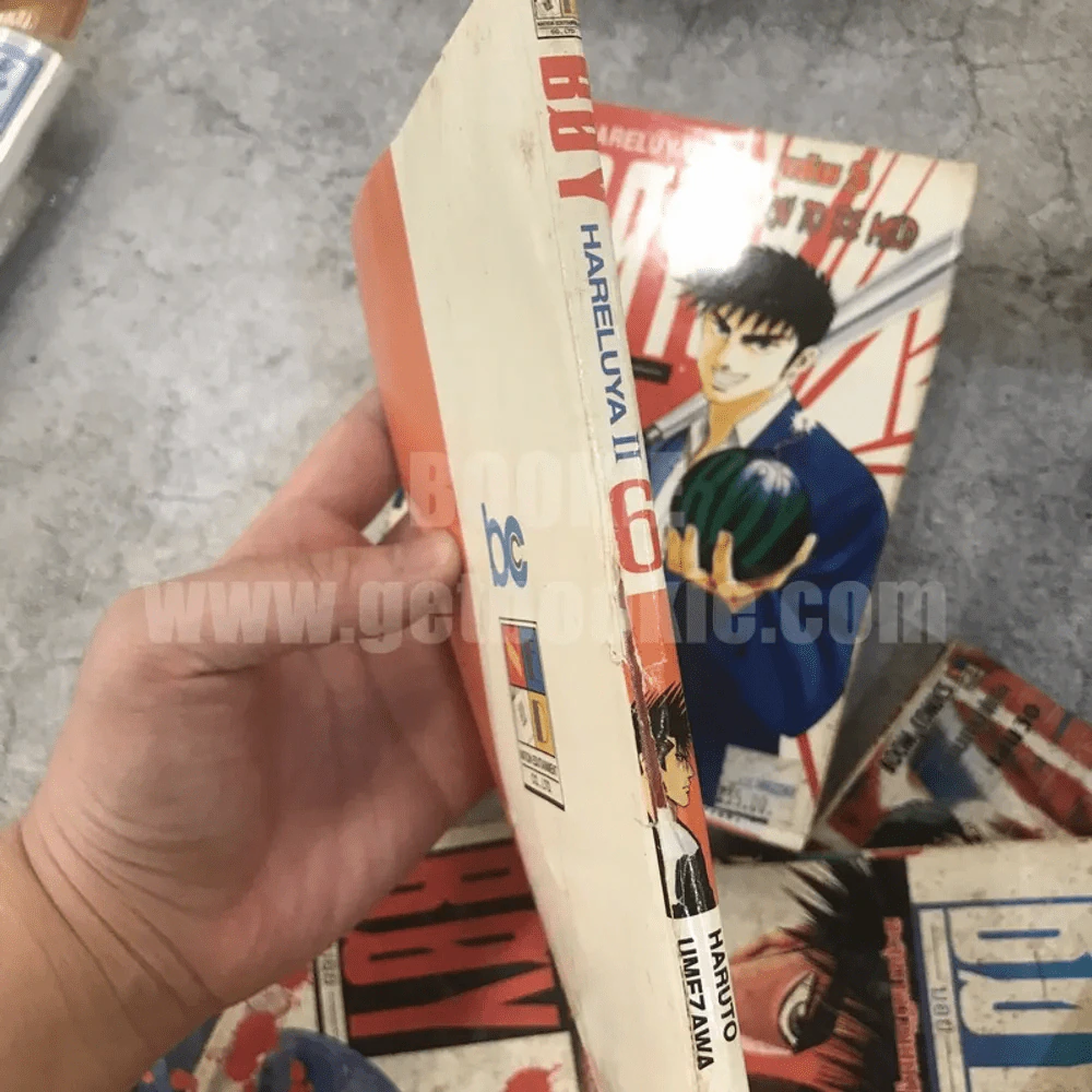 Boy Hareluya II 33 เล่มจบ (ขาดเล่ม 2,27) + ภาคแรก เล่มเดียวจบ (สภาพไม่สวยพิจารณาจากภาพก่อนสั่งซื้อ) รูปที่ 22
