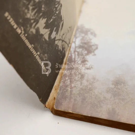 สัตว์ป่าสวยงาม รูปที่ 3