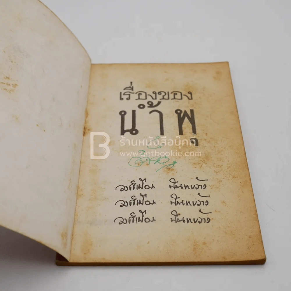 เรื่องของน้ำพุ - วงศ์เมือง นันทขว้าง รูปที่ 3