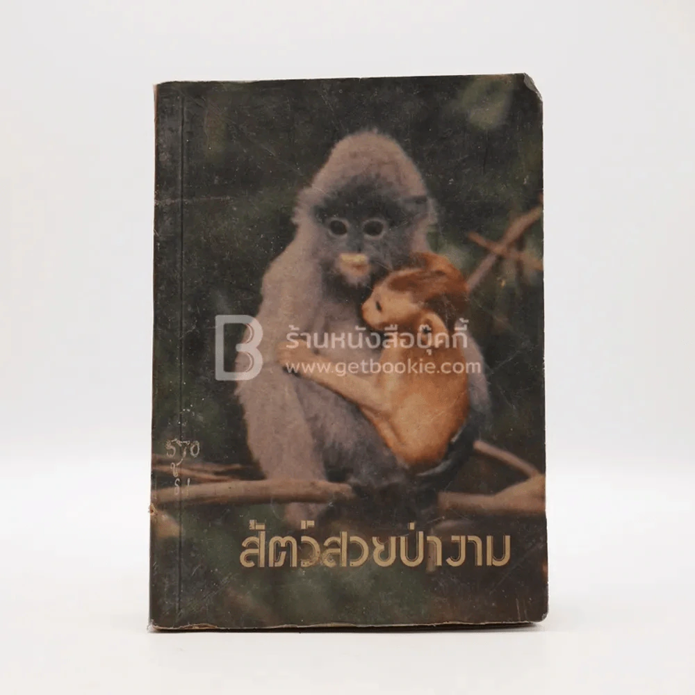 สัตว์ป่าสวยงาม รูปที่ 1