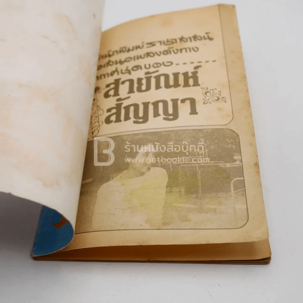 สายัณห์ สัญญา รูปที่ 3