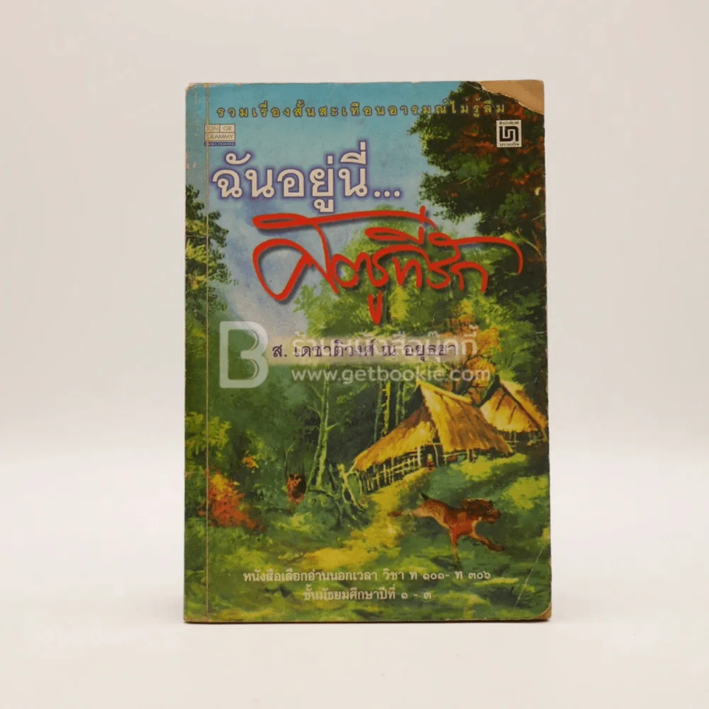 ฉันอยู่นี่ศัตรูที่รัก - ส.เดชาติวงศ์ ณ อยุธยา รูปที่ 1