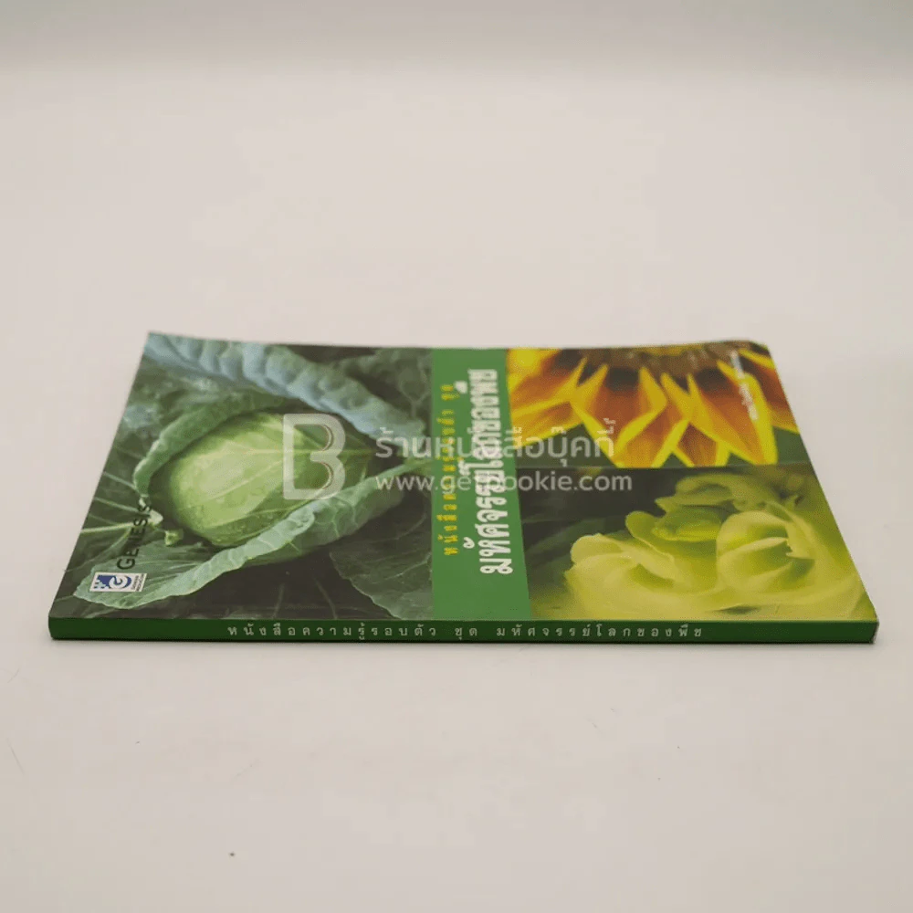 หนังสือความรู้รอบตัว ชุด มหัศจรรย์โลกของพืช รูปที่ 2