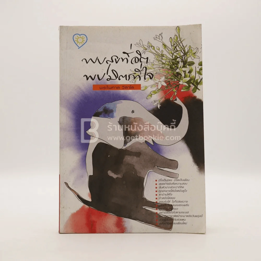 พบสุขที่จิต พบมิตรที่ใจ - พระไพศาล วิสาโล รูปที่ 1