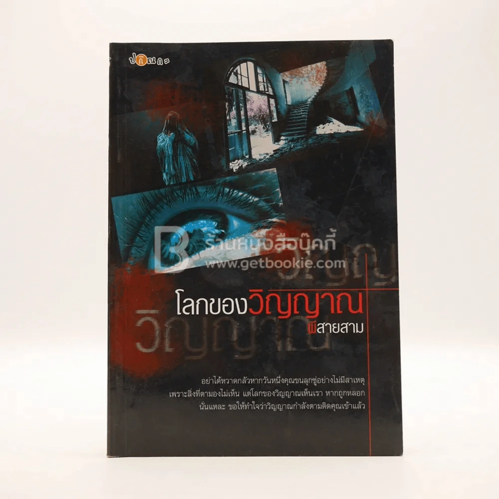 โลกของวิญญาณ - ผีสายสาม รูปที่ 1