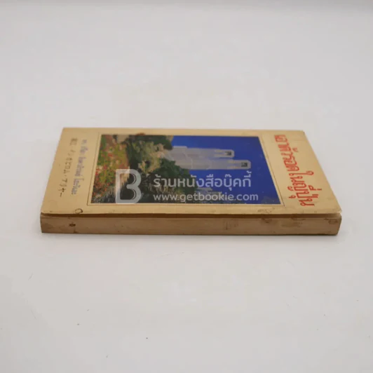 เอาตัวรอดในญี่ปุ่น รูปที่ 3
