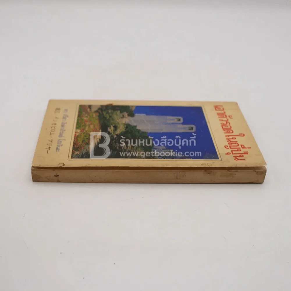 เอาตัวรอดในญี่ปุ่น รูปที่ 3