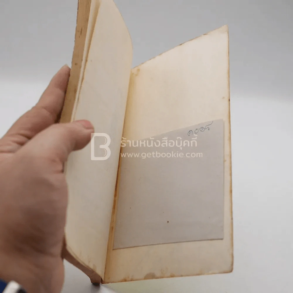 ราโมนา จอมยุ่ง รูปที่ 6