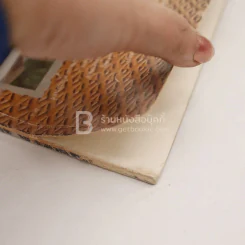 ยางพารา รูปที่ 9