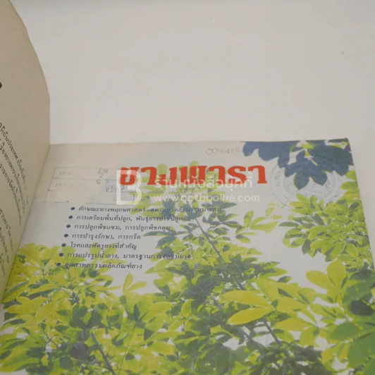 ยางพารา รูปที่ 5