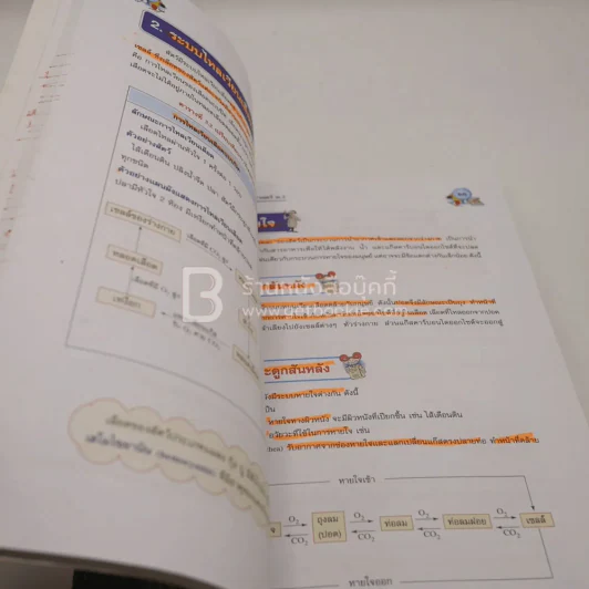 หนังสือเรียน รายวิชาพื้นฐาน วิทยาศาสตร์ ม.2 (มีรอยขีดเขียน) รูปที่ 4