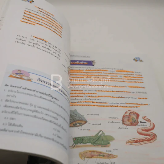 หนังสือเรียน รายวิชาพื้นฐาน วิทยาศาสตร์ ม.2 (มีรอยขีดเขียน) รูปที่ 3