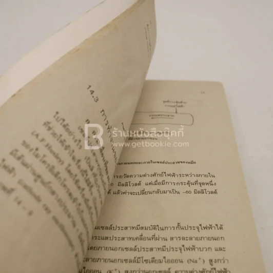 หนังสือเรียนวิชา ชีววิทยา ว 044 (สภาพมีคราบน้ำ) รูปที่ 5