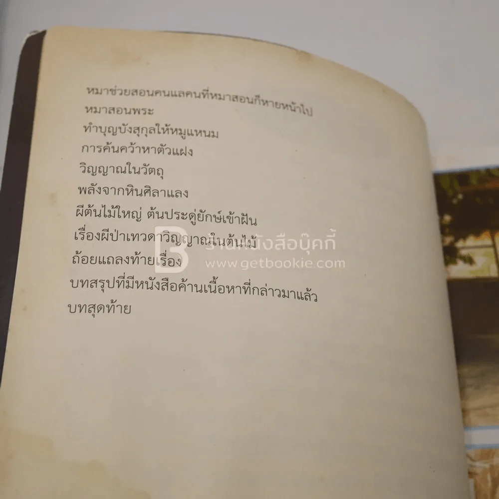 ย้อนรอยกรรมตำนานพระสุพรรณกัลยา (สภาพบวมน้ำอ่านได้ปกติ) รูปที่ 5