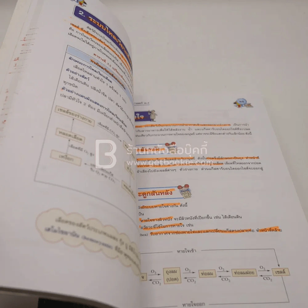 หนังสือเรียน รายวิชาพื้นฐาน วิทยาศาสตร์ ม.2 (มีรอยขีดเขียน) รูปที่ 4
